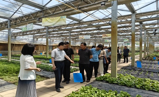 2024年6月27日，中國綠色食品發(fā)展中心相關(guān)領(lǐng)導蒞臨農(nóng)業(yè)總公司考察調(diào)研_副本.jpg